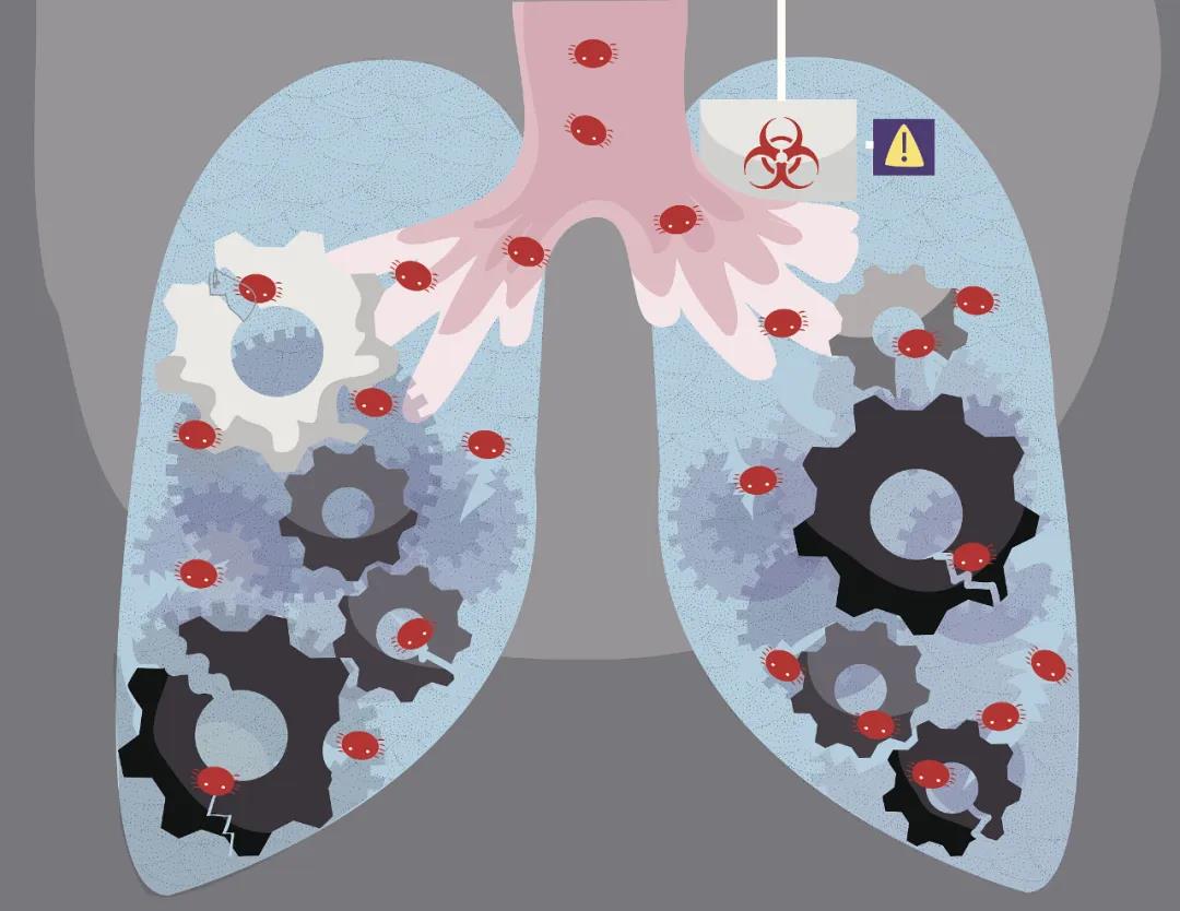 干细胞有效防治结核病细胞有效防治结核病